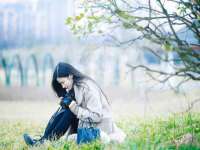 苏州菁若繁花贸易有限公司