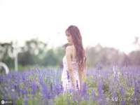 苏州菁若繁花贸易有限公司