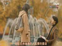 苏州菁若繁花贸易有限公司