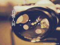 苏州菁若繁花贸易有限公司