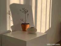 苏州菁若繁花贸易有限公司