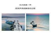 苏州菁若繁花贸易有限公司