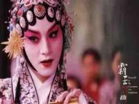 苏州菁若繁花贸易有限公司