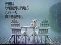 苏州菁若繁花贸易有限公司