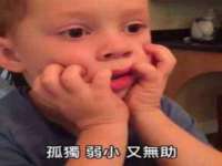 苏州菁若繁花贸易有限公司