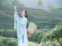 苏州菁若繁花贸易有限公司