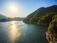 苏州菁若繁花贸易有限公司