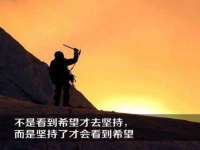 苏州菁若繁花贸易有限公司