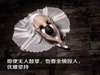 苏州菁若繁花贸易有限公司