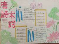 苏州菁若繁花贸易有限公司