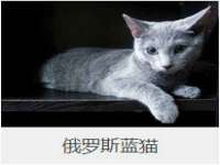 苏州菁若繁花贸易有限公司