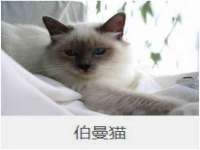 苏州菁若繁花贸易有限公司