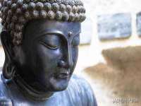 苏州菁若繁花贸易有限公司
