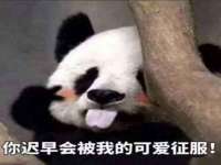 苏州菁若繁花贸易有限公司