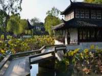 苏州菁若繁花贸易有限公司