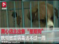 苏州菁若繁花贸易有限公司
