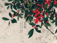 苏州菁若繁花贸易有限公司