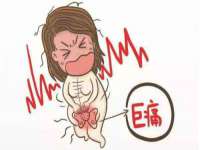 苏州菁若繁花贸易有限公司