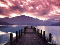苏州菁若繁花贸易有限公司
