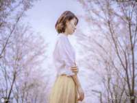 苏州菁若繁花贸易有限公司
