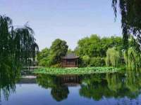 苏州菁若繁花贸易有限公司