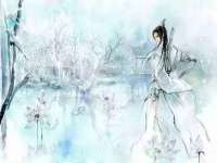 苏州菁若繁花贸易有限公司