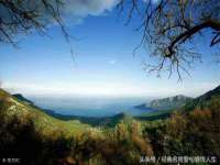 苏州菁若繁花贸易有限公司