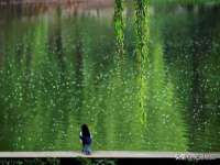 苏州菁若繁花贸易有限公司