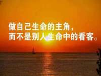 苏州菁若繁花贸易有限公司