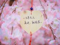 苏州菁若繁花贸易有限公司