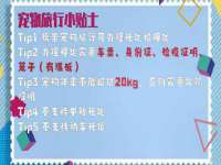 苏州菁若繁花贸易有限公司