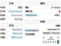 苏州菁若繁花贸易有限公司