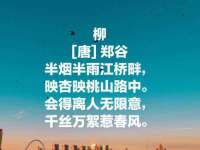 苏州菁若繁花贸易有限公司