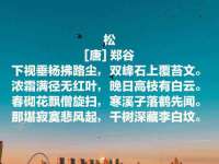 苏州菁若繁花贸易有限公司
