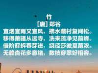 苏州菁若繁花贸易有限公司