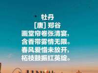 苏州菁若繁花贸易有限公司