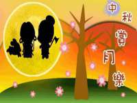 苏州菁若繁花贸易有限公司