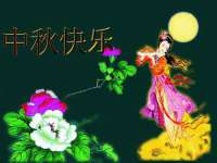 苏州菁若繁花贸易有限公司