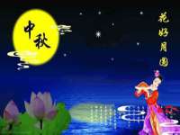 苏州菁若繁花贸易有限公司