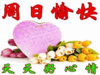 苏州菁若繁花贸易有限公司