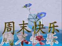 苏州菁若繁花贸易有限公司