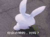 苏州菁若繁花贸易有限公司