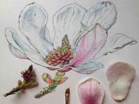 苏州菁若繁花贸易有限公司