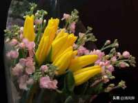 苏州菁若繁花贸易有限公司