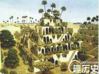 苏州菁若繁花贸易有限公司