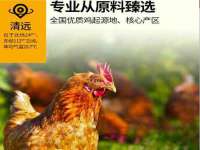 苏州菁若繁花贸易有限公司