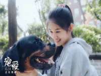 苏州菁若繁花贸易有限公司