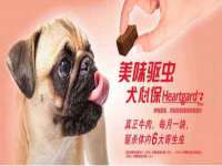 苏州菁若繁花贸易有限公司