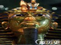 苏州菁若繁花贸易有限公司