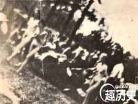 苏州菁若繁花贸易有限公司
